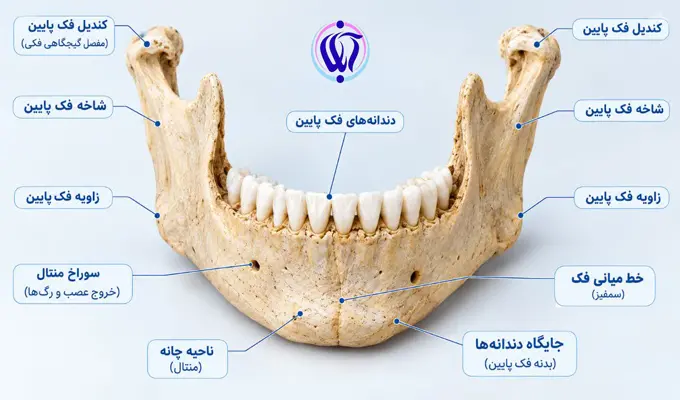 تحلیل استخوان فک